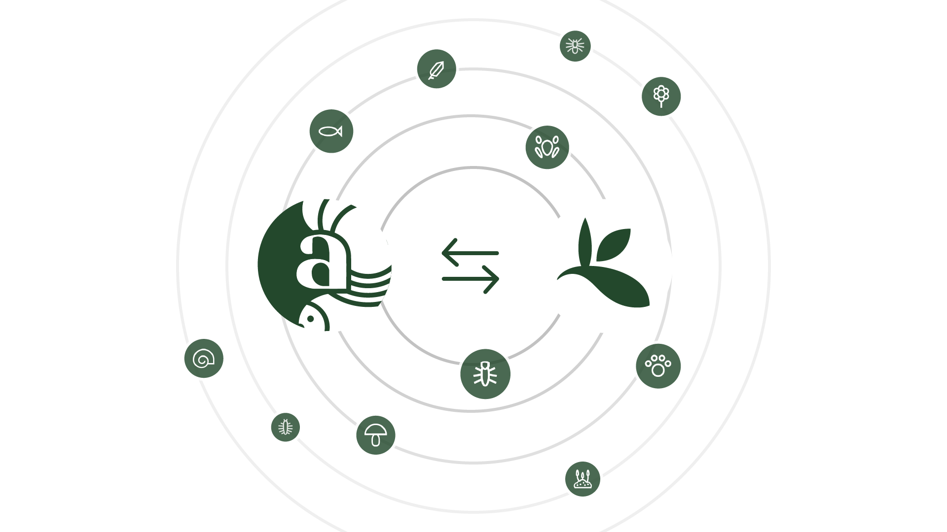 Arter gbif samarbejde